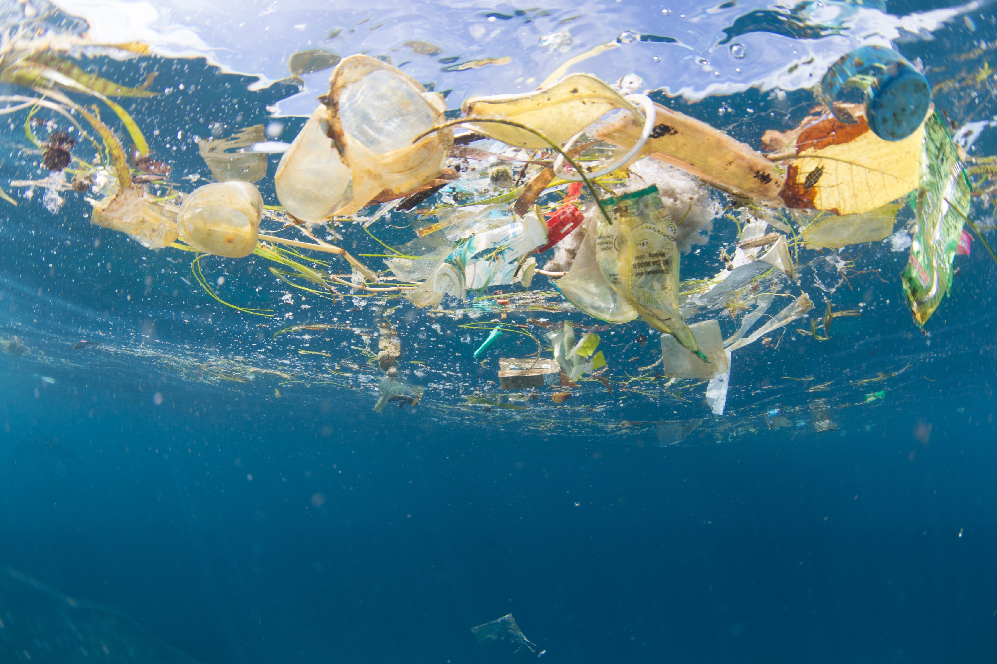 Plastic in de zee