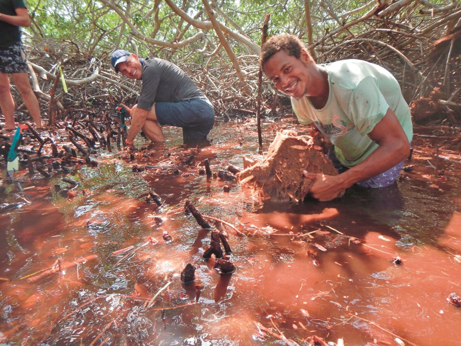Mangrove Maniacs Bonaire