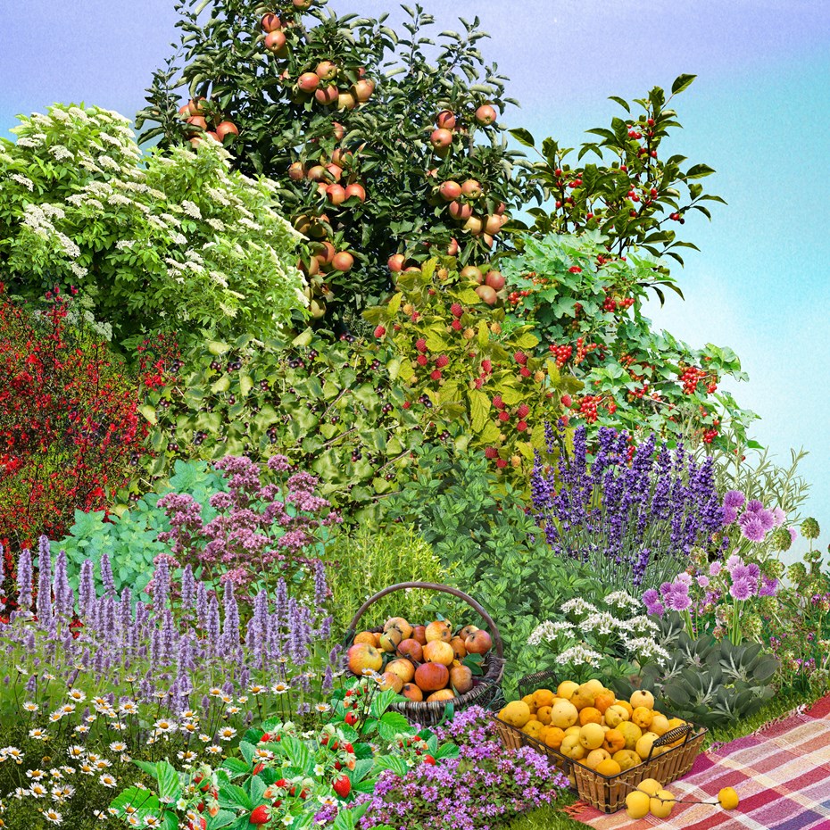 Kleedje met planten en appels