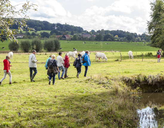 Mensen wandelen door een weiland