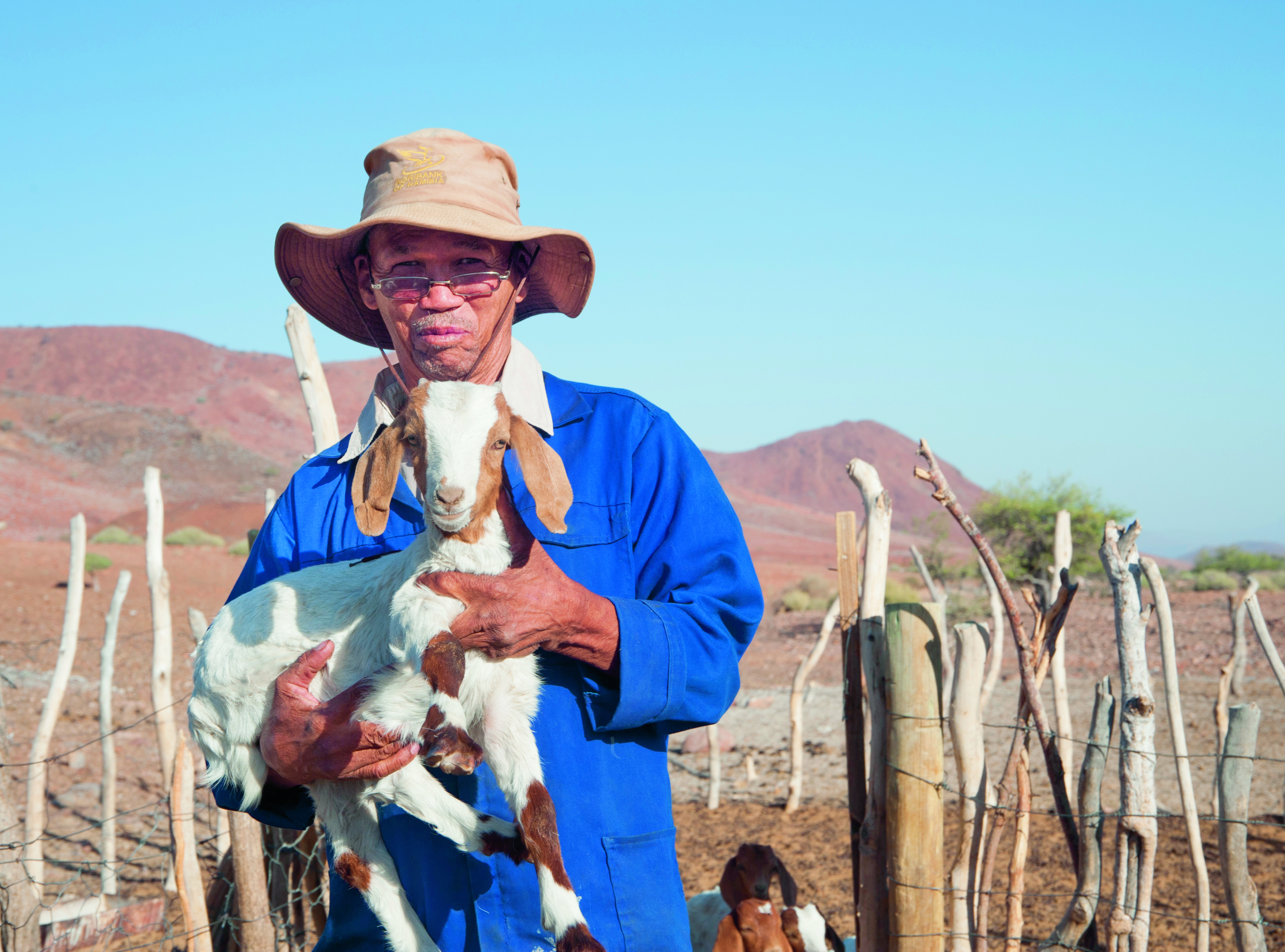 Boer Neels Adams tilt een geit op 
