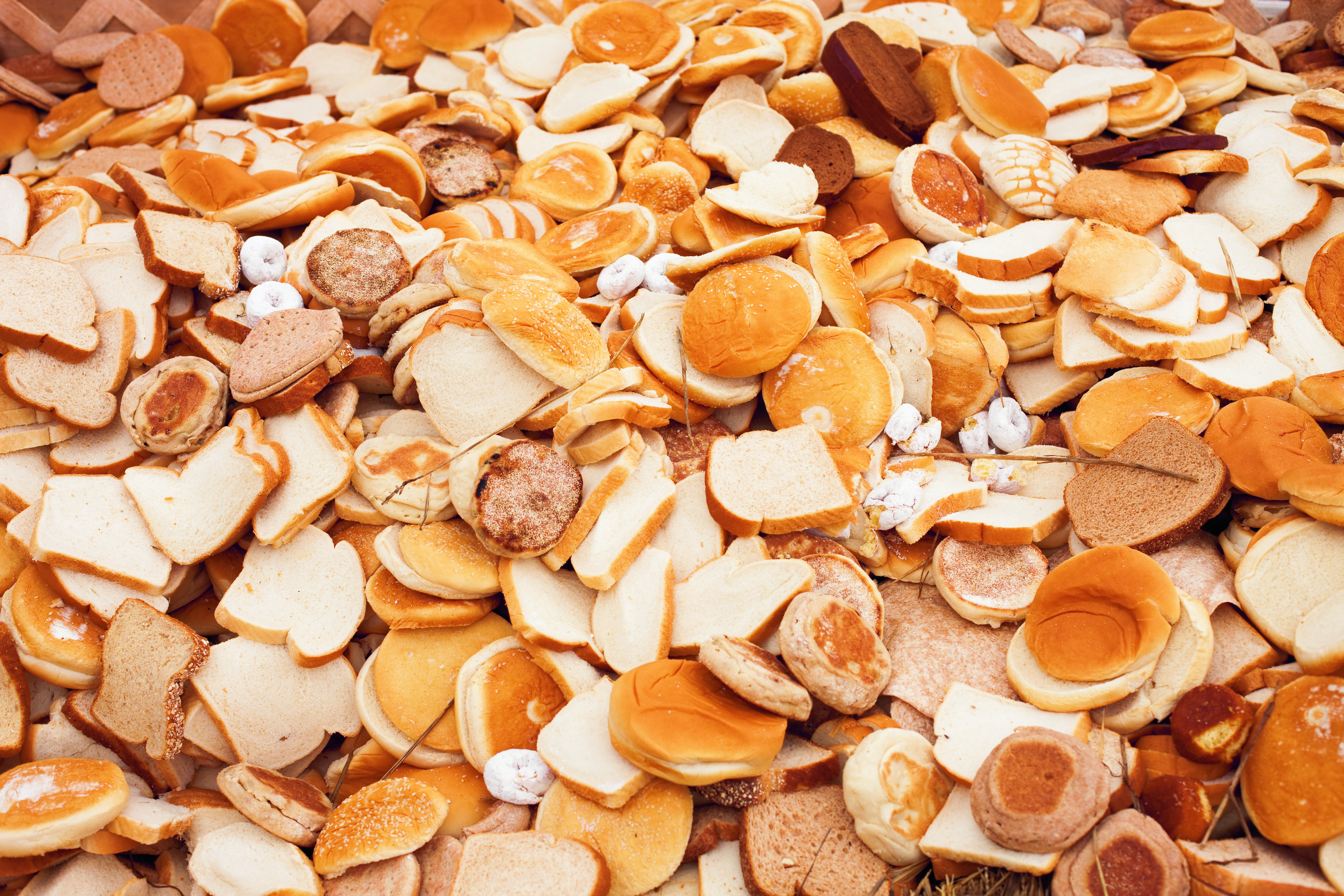 Verzameling van oud brood