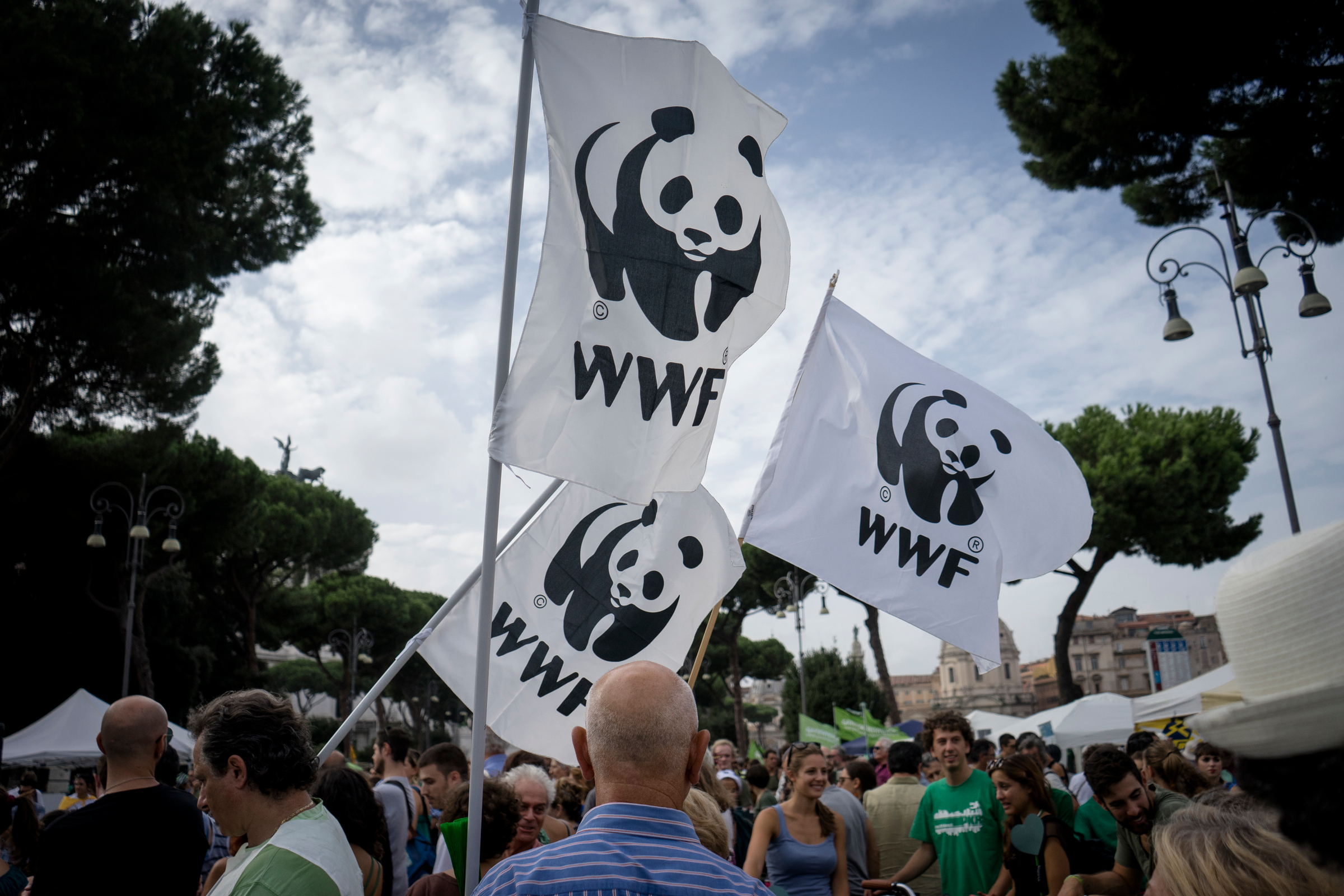 Protest klimaatverandering van WWF