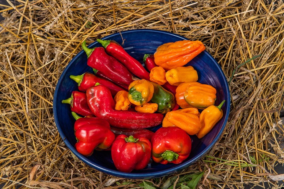 Close-up bakje met paprika's