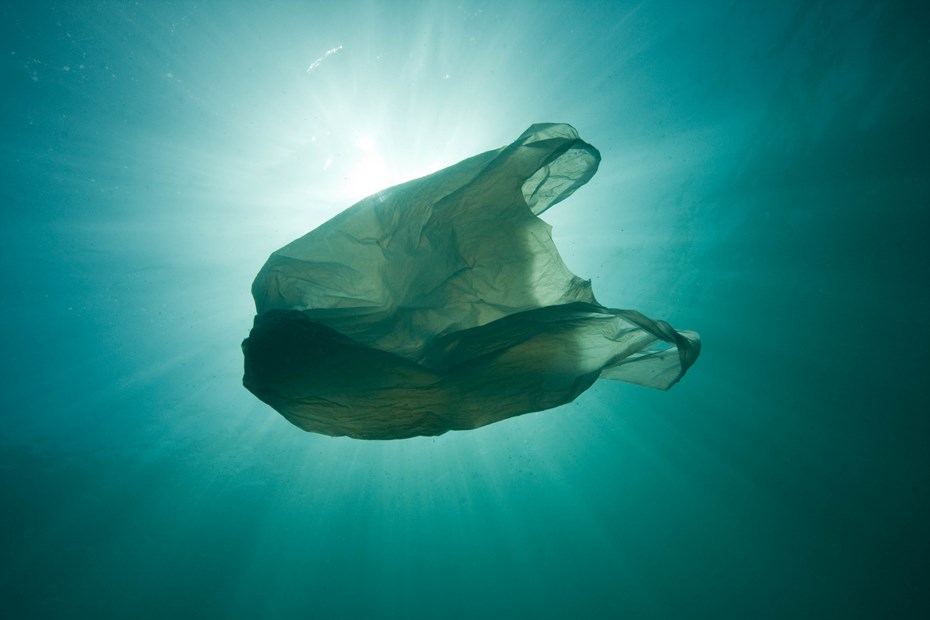 Plastic zakje drijft in zee
